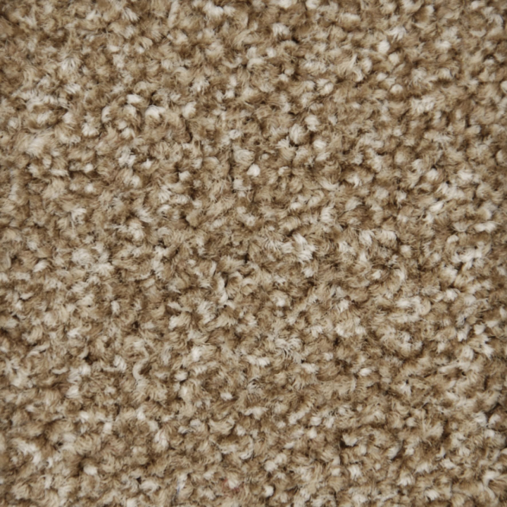 Princeton 155